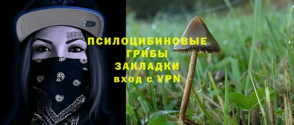 mdpv Верея