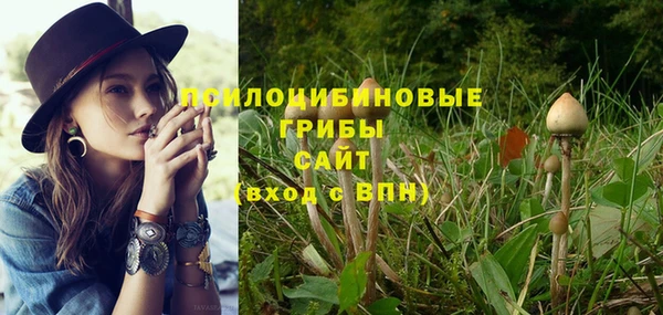 гашик Верхний Тагил