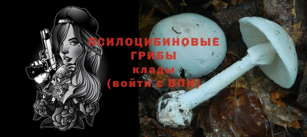 mdpv Верея